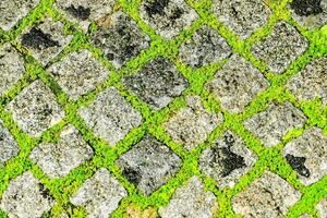 a stone wall with green moss on it photo