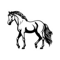 Horse vector Illustration design