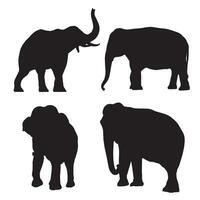 Set of editable vector silhouettes of African elephants in various poses