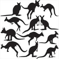 Set of kangaroo Silhouettes on a white background. vector