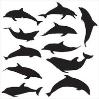 Dolphin silhouette set vector illustration, Collection of dolphin silhouette