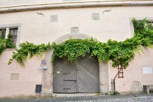 a door with vines growing on it in front of a building photo