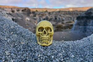a yellow skull on top of rocks photo