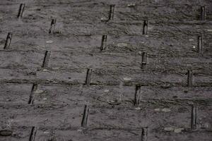 a close up of a black brick sidewalk photo