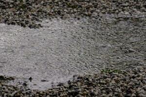 un charco de agua en el suelo con grava foto