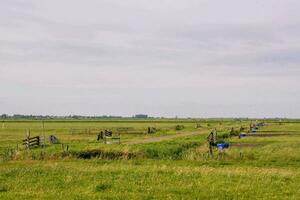 a field with a dirt road and a fence photo