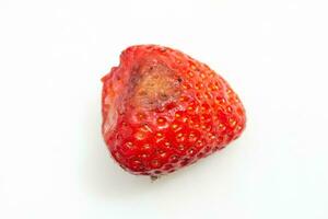 Closeup photo of moldy strawberry. Rotten fruit.