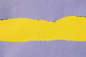 Purple torn paper background. Ripped paper on yellow background with copy space for text. photo