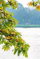 Hoan Kiem Lake - Ho Guom or Sword lake in the center of Hanoi in the fog in the morning. photo