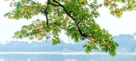 Hoan Kiem Lake - Ho Guom or Sword lake in the center of Hanoi in the fog in the morning. photo