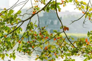 Hoan Kiem Lake - Ho Guom or Sword lake in the center of Hanoi in the fog in the morning. photo