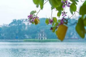 Hoan Kiem Lake - Ho Guom or Sword lake in the center of Hanoi in the fog in the morning. photo