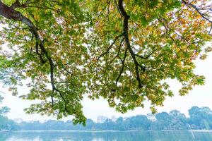 Hoan Kiem Lake - Ho Guom or Sword lake in the center of Hanoi in the fog in the morning. photo