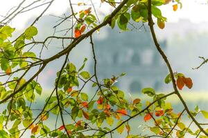 Hoan Kiem Lake - Ho Guom or Sword lake in the center of Hanoi in the fog in the morning. photo