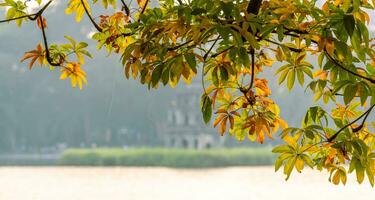 Hoan Kiem Lake - Ho Guom or Sword lake in the center of Hanoi in the fog in the morning. photo