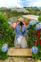 joven mujer viajero disfrutando con floreciente hortensias jardín en dalat, Vietnam foto