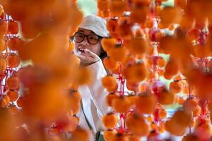 Young woman traveler enjoying dried persimmon hanged on strings to dry a common sight in Da Lat, Vietnam photo