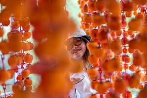 Young woman traveler enjoying dried persimmon hanged on strings to dry a common sight in Da Lat, Vietnam photo
