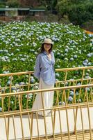 joven mujer viajero disfrutando con floreciente hortensias jardín en dalat, Vietnam foto