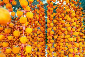 Hanged vietnamese persimmons, traditional food - Dried persimmons in Dalat, Vietnam photo