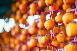 Hanged vietnamese persimmons, traditional food - Dried persimmons in Dalat, Vietnam photo