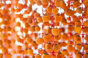 Hanged vietnamese persimmons, traditional food - Dried persimmons in Dalat, Vietnam photo