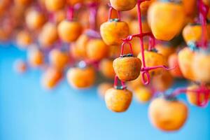 Hanged vietnamese persimmons, traditional food - Dried persimmons in Dalat, Vietnam photo