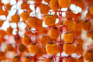 Hanged vietnamese persimmons, traditional food - Dried persimmons in Dalat, Vietnam photo