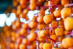 Hanged vietnamese persimmons, traditional food - Dried persimmons in Dalat, Vietnam photo