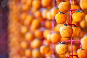 Hanged vietnamese persimmons, traditional food - Dried persimmons in Dalat, Vietnam photo