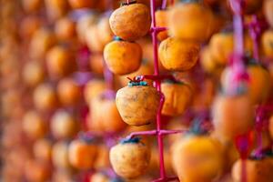 Hanged vietnamese persimmons, traditional food - Dried persimmons in Dalat, Vietnam photo