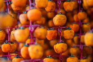 Hanged vietnamese persimmons, traditional food - Dried persimmons in Dalat, Vietnam photo