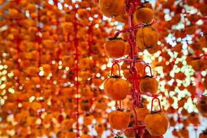 Hanged vietnamese persimmons, traditional food - Dried persimmons in Dalat, Vietnam photo