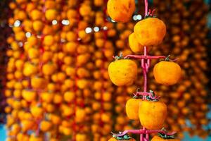 Hanged vietnamese persimmons, traditional food - Dried persimmons in Dalat, Vietnam photo