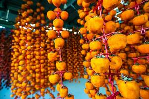 Hanged vietnamese persimmons, traditional food - Dried persimmons in Dalat, Vietnam photo