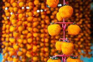 Hanged vietnamese persimmons, traditional food - Dried persimmons in Dalat, Vietnam photo
