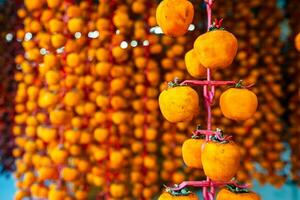 Hanged vietnamese persimmons, traditional food - Dried persimmons in Dalat, Vietnam photo
