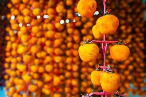 Hanged vietnamese persimmons, traditional food - Dried persimmons in Dalat, Vietnam photo