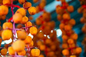 Hanged vietnamese persimmons, traditional food - Dried persimmons in Dalat, Vietnam photo