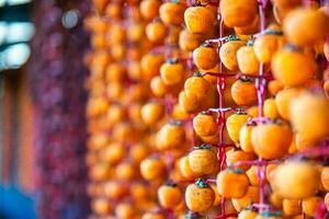 Hanged vietnamese persimmons, traditional food - Dried persimmons in Dalat, Vietnam photo