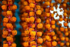 Hanged vietnamese persimmons, traditional food - Dried persimmons in Dalat, Vietnam photo
