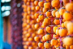 Hanged vietnamese persimmons, traditional food - Dried persimmons in Dalat, Vietnam photo