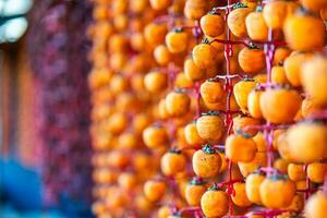 Hanged vietnamese persimmons, traditional food - Dried persimmons in Dalat, Vietnam photo