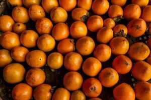 Ripe orange persimmons. on the table in the market. A bunch of organic persimmon fruits at a local farmers market in Dalat city, Vietnam. Persimmon background. Flat lay. photo