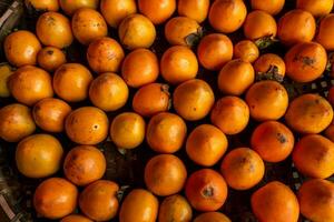 maduro naranja caquis en el mesa en el mercado. un manojo de orgánico caqui frutas a un local agricultores mercado en dalat ciudad, Vietnam. caqui antecedentes. plano poner. foto