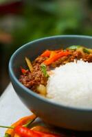 smoke beef with chili and rice photo