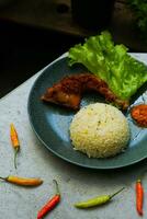 fried chicken with rice and chili photo