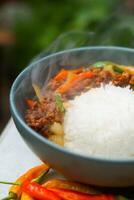 smoke beef with chili and rice photo