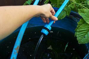 a woman hand holding a blue watering hose. photo