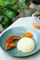 fried chicken with rice and chili photo